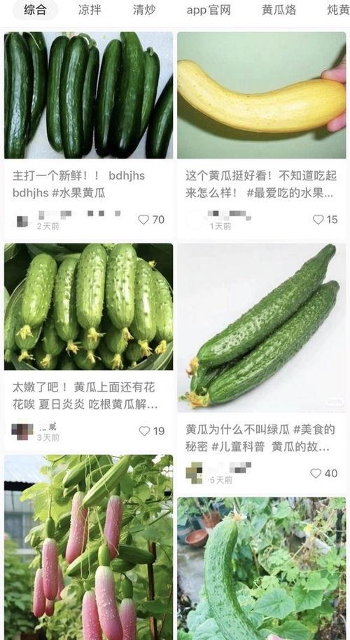 山东黄瓜爆料视频最新,揭秘田间地头的新鲜秘密