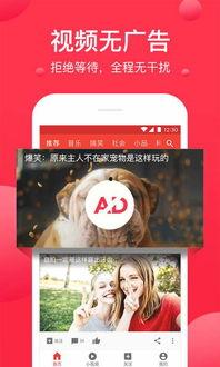 西瓜视频爆料库在哪里找,探索内容创作者的秘密基地