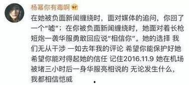 理智吃瓜文章免费阅读,揭秘网络舆论背后的真相与理性思考