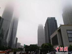 信宜市楼市新闻爆料,最新爆料揭示市场走势与热点项目