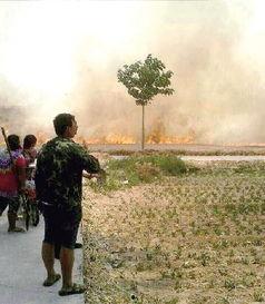 滑县爆料新闻,揭秘背后真相