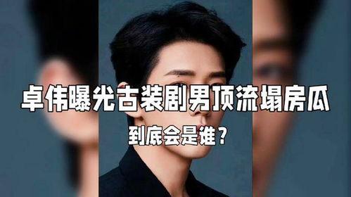 男星塌房爆料视频大全集,男星塌房视频大全集深度解析