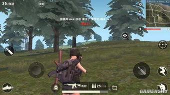 手游吃鸡最新爆料2.0,革新玩法，极致体验大揭秘！