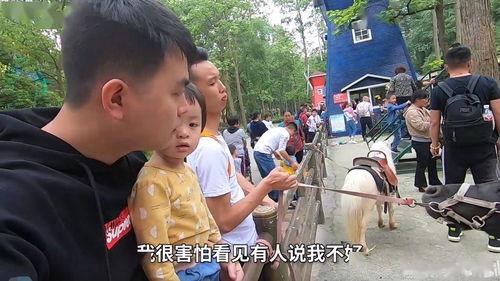 吃网红的大瓜翻车,揭秘网络舆论背后的真相