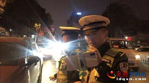 国际型警在线播放观看,跨国追捕，正义之战