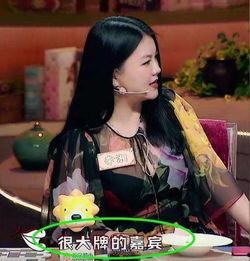 娱乐大爆料三字艺人,揭秘三字艺人的星途历程