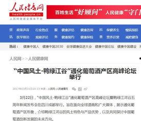 佛山网红爆料新闻报道,揭秘城市新热点背后的故事